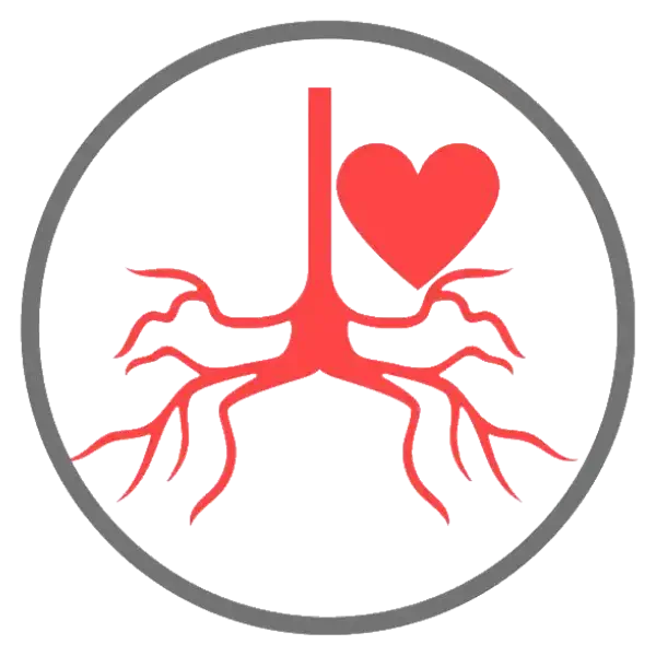 rts radthesys fiber cardio cardiovascular heart blood atherosclerosis