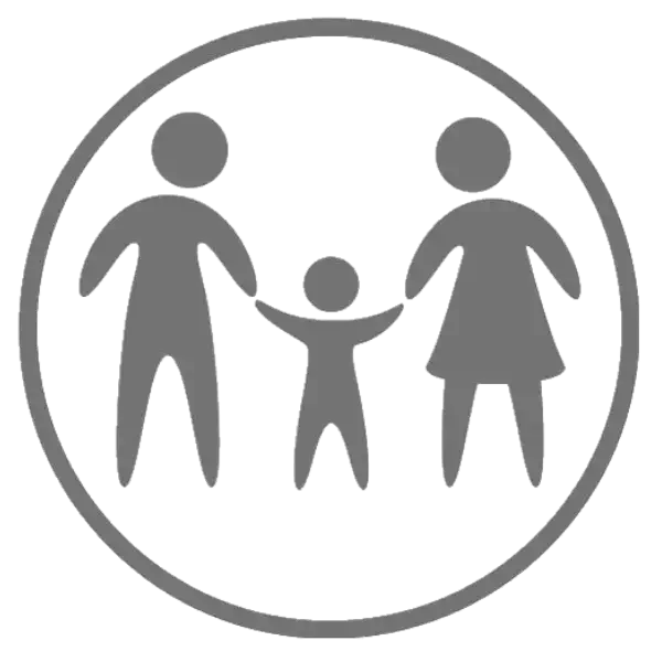 rts radthesys fiber family