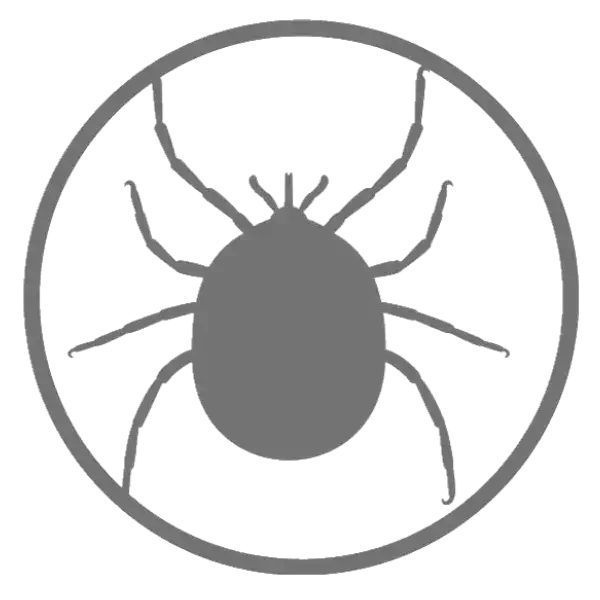 rts radthesys lyme disease tic
