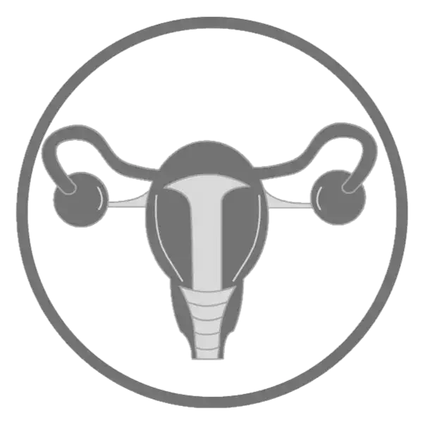 rts radthesys fiber reproductive system