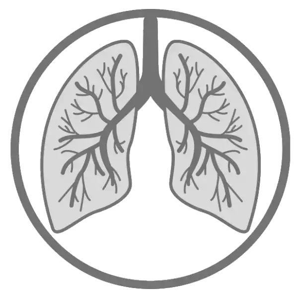 rts radthesys fiber respiratory lungs