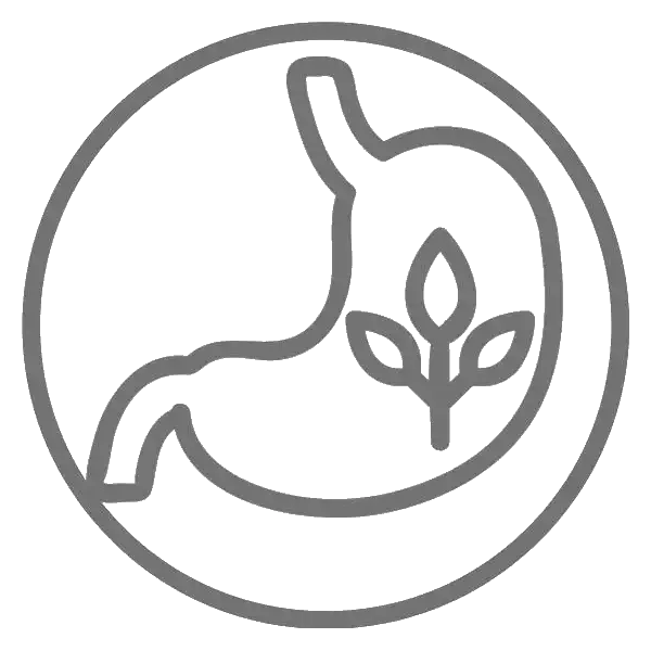 rts radthesys fiber stomach gut microbiome