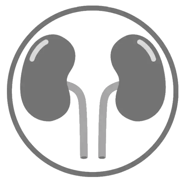 rts radthesys fiber kidney