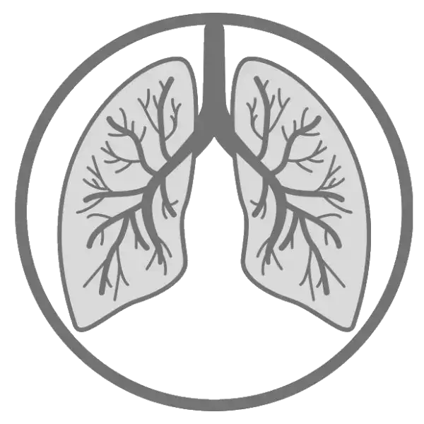 rts radthesys fiber respiratory lungs 